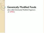 Genetically Modified Foods - slide 1