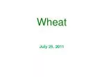 Wheat - slide 1
