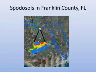 Spodosols in Franklin County, FL