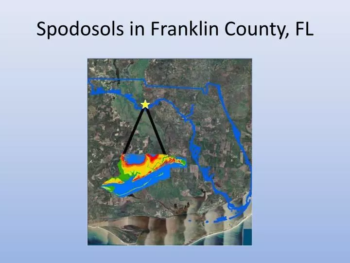 spodosols in franklin county fl