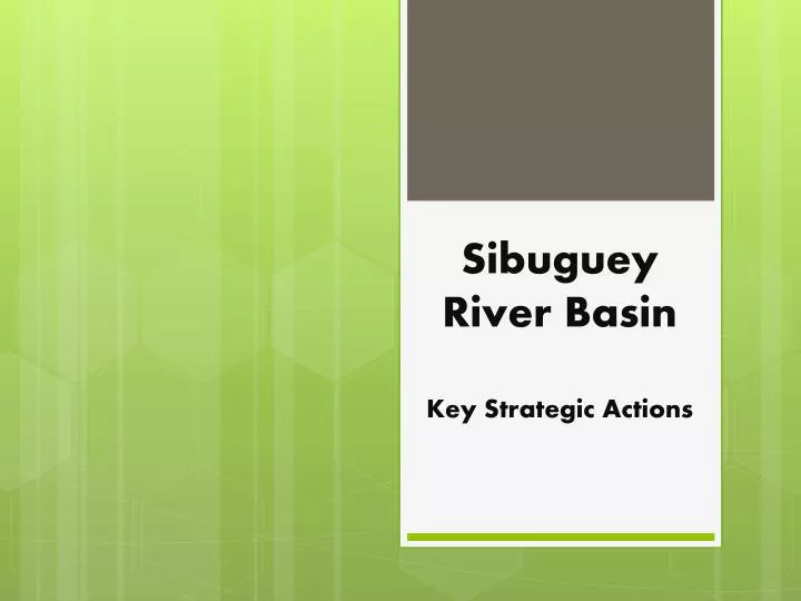 sibuguey river basin key strategic actions