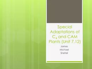 Special Adaptations of C 4 and CAM Plants (Unit 7.12)