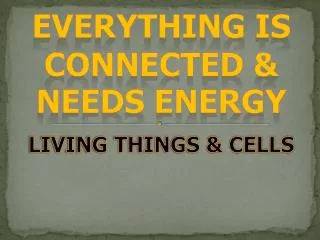 Everything Is Connected &amp; Needs Energy