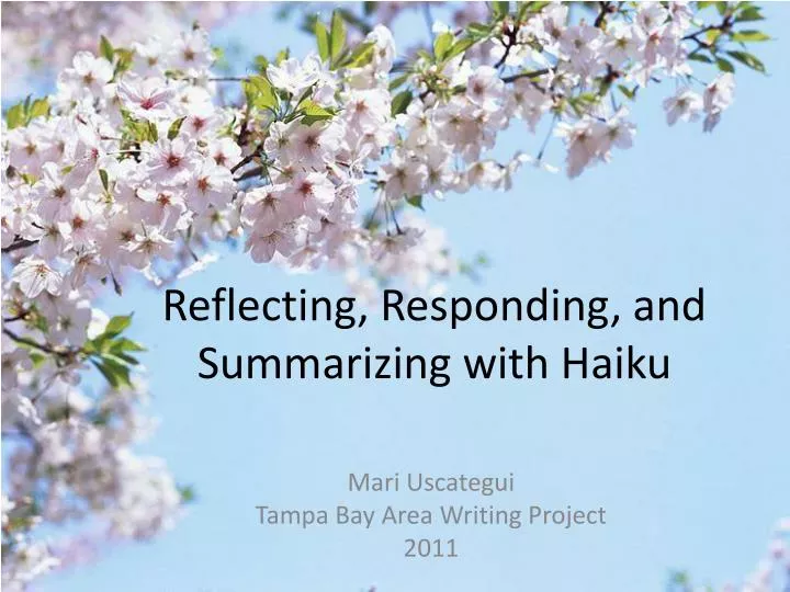 reflecting responding and summarizing with haiku