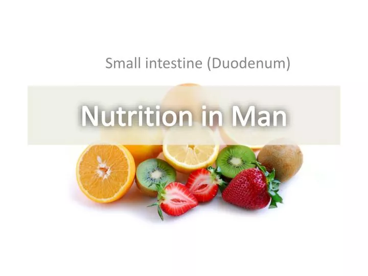 nutrition in man