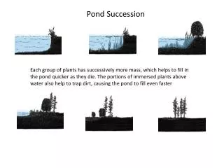 Pond Succession