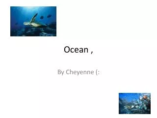 Ocean ,
