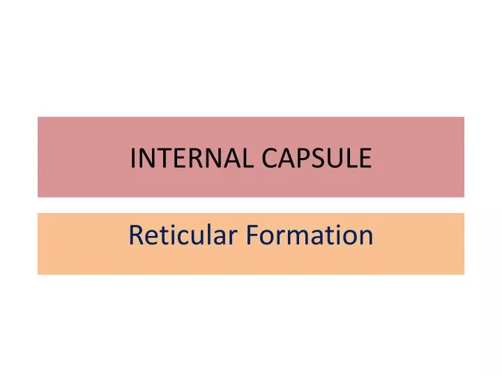 internal capsule
