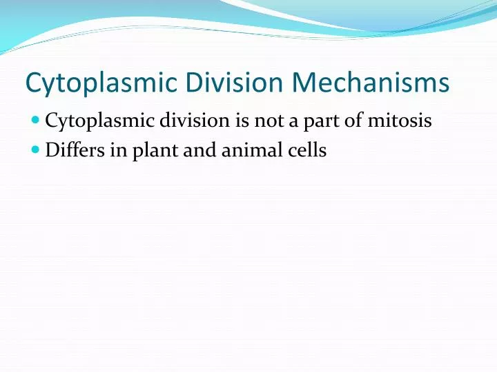 cytoplasmic division mechanisms