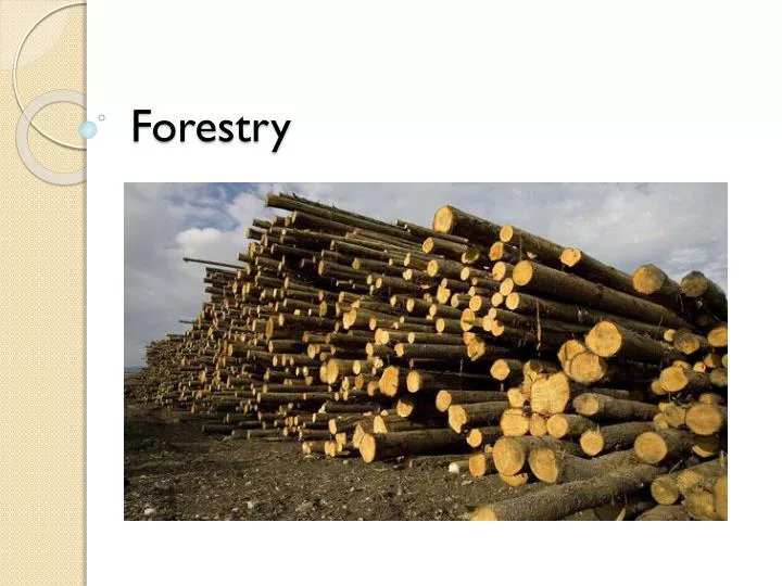 forestry