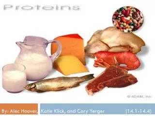 Functions of Proteins