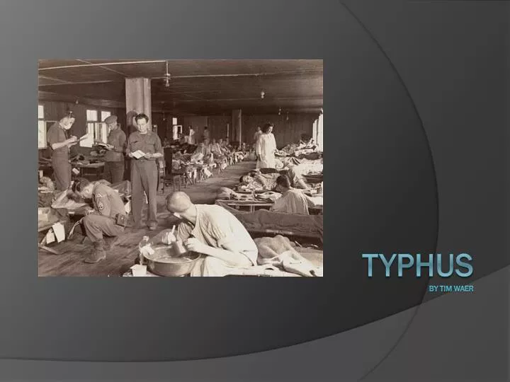 typhus by tim waer