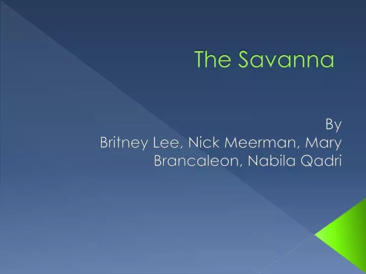 the savanna