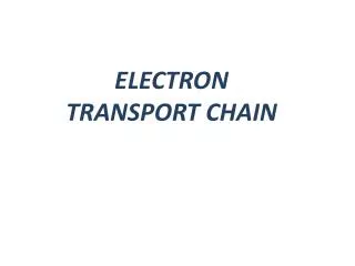 ELECTRON TRANSPORT CHAIN