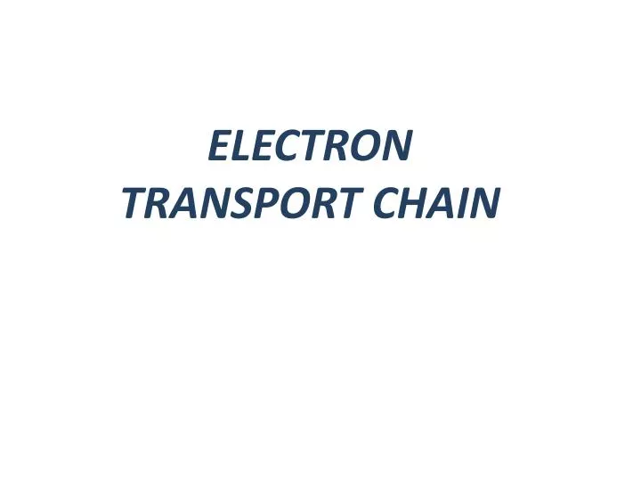 electron transport chain