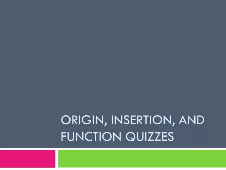 origin insertion and function quizzes