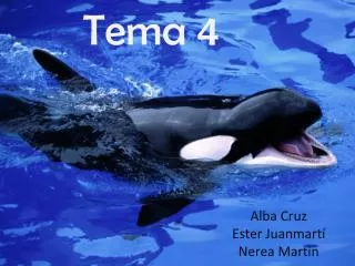 tema 4