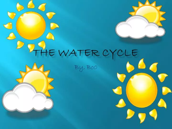 the water cycle