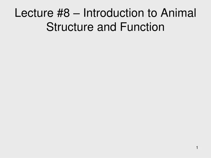 lecture 8 introduction to animal structure and function