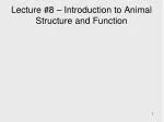 Lecture #8 – Introduction to Animal Structure and Function - slide 1