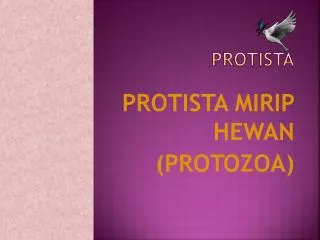 protista