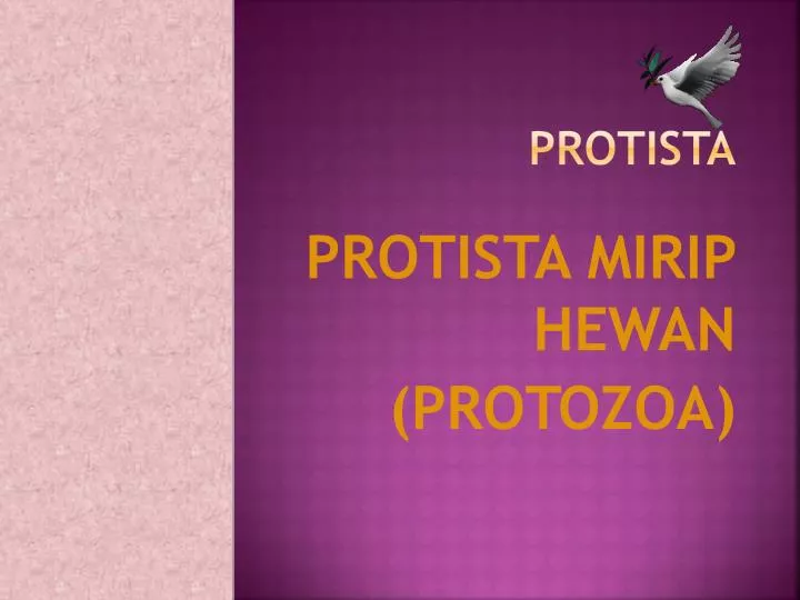 protista