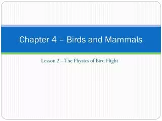 chapter 4 birds and mammals