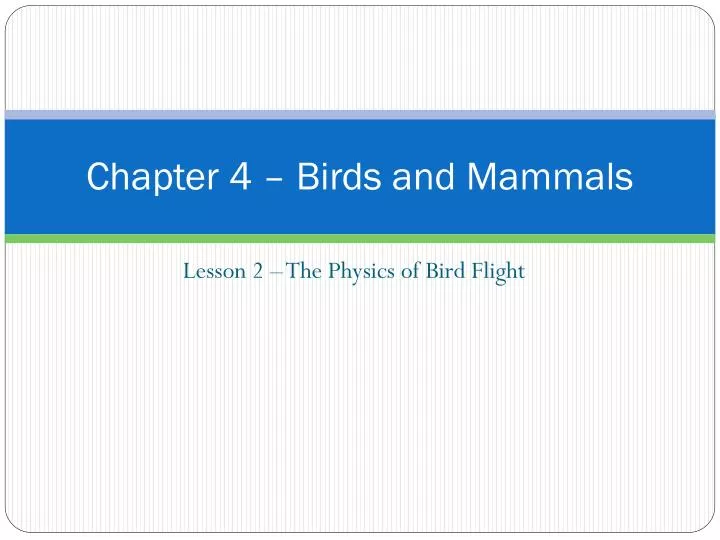 chapter 4 birds and mammals