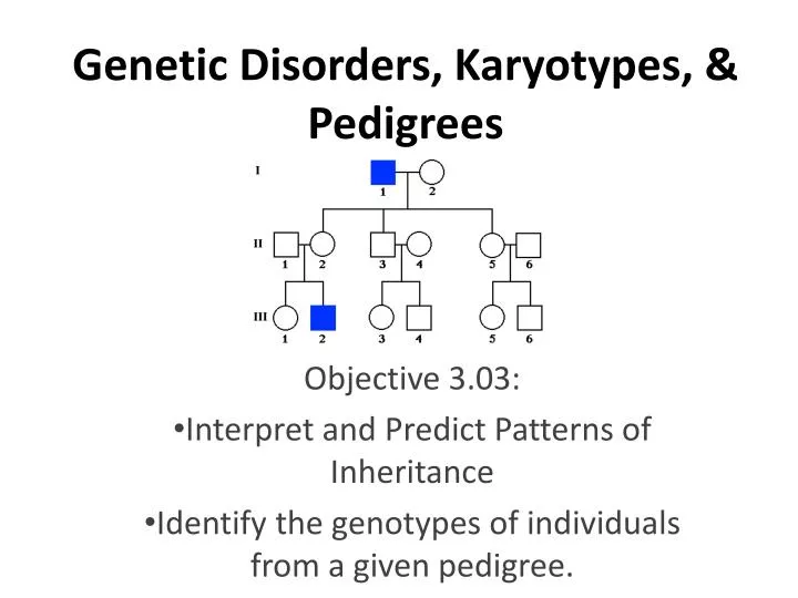 genetic disorders karyotypes pedigrees
