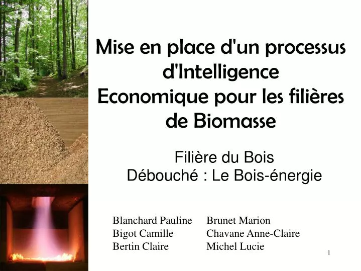 mise en place d un processus d intelligence economique pour les fili res de biomasse