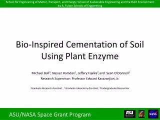 Bio-Inspired Cementation of Soil Using Plant Enzyme