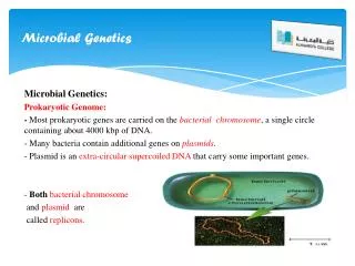 Microbial Genetics