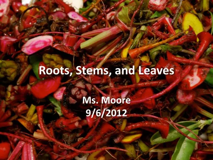 roots stems and leaves ms moore 9 6 2012