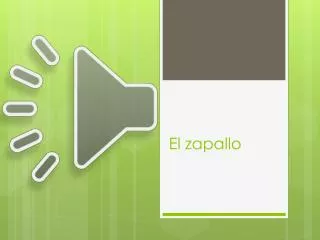 el zapallo