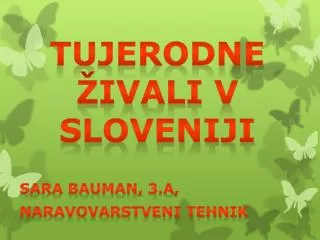 Tujerodne živali v Sloveniji