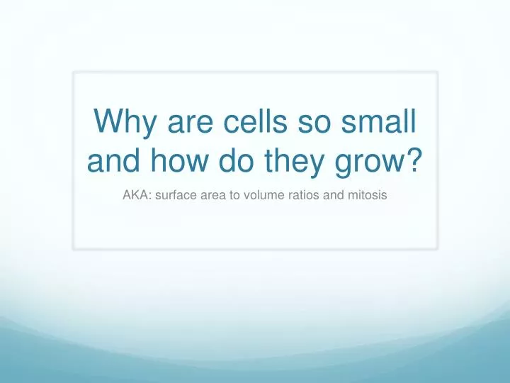 why are cells so small and how do they grow