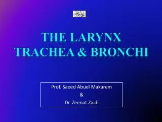 The Larynx Trachea &amp; Bronchi