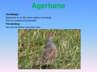 agerh ne