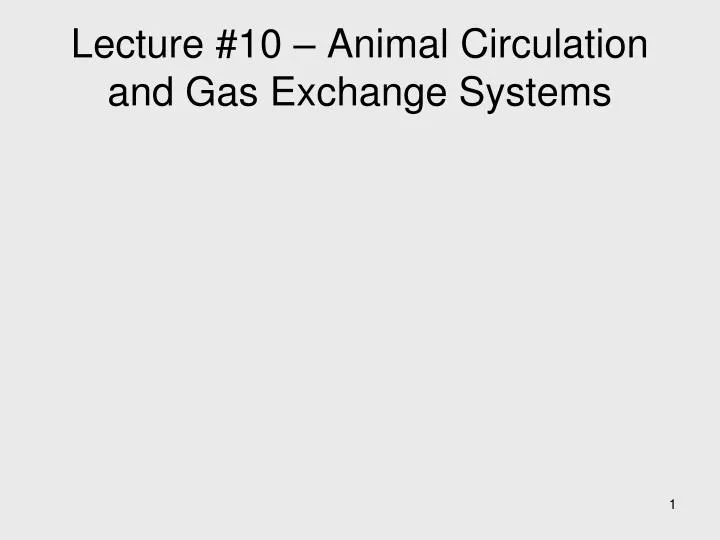 lecture 10 animal circulation and gas exchange systems
