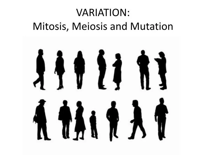 variation mitosis meiosis and mutation