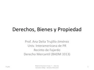 derechos bienes y propiedad