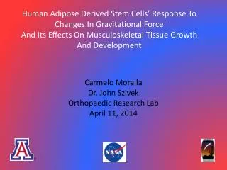 Carmelo Moraila Dr. John Szivek Orthopaedic Research Lab April 11, 2014