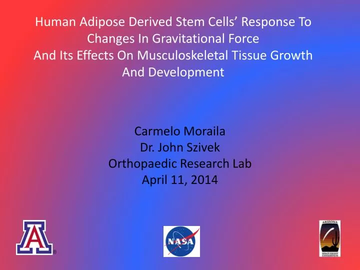 carmelo moraila dr john szivek orthopaedic research lab april 11 2014