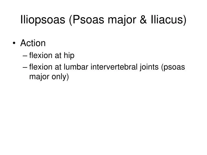 iliopsoas psoas major iliacus