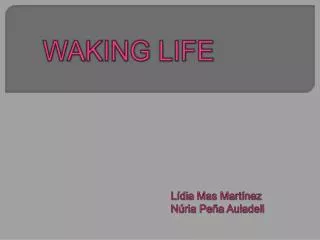 waking life