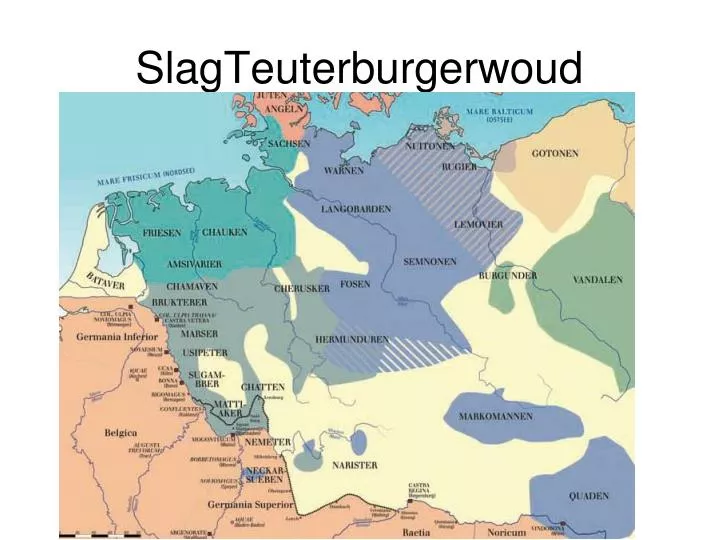 slagteuterburgerwoud