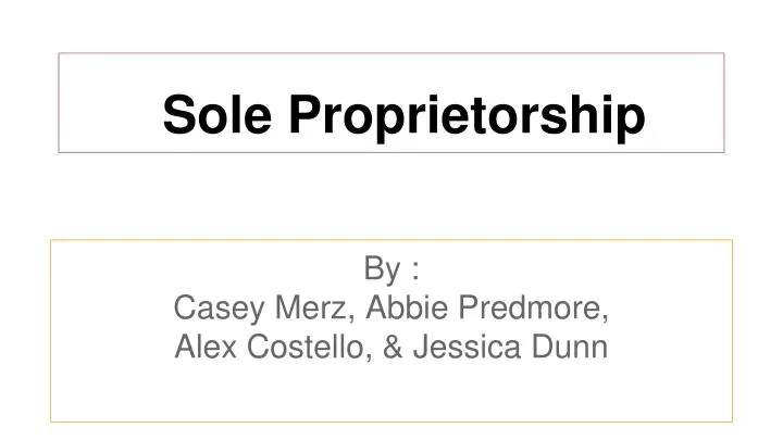 sole proprietorship