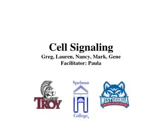 Cell Signaling Greg, Lauren, Nancy, Mark, Gene Facilitator: Paula