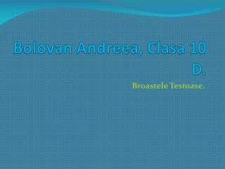 bolovan andreea clasa 10 d