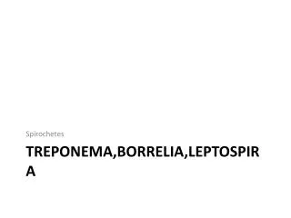 Treponema,borrelia,leptospira